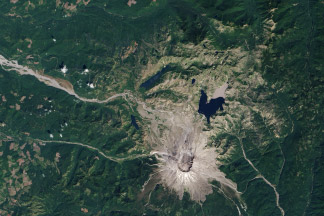 Recovery at Mt. St. Helens:August 20, 2013