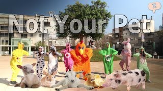 TOY - Netta ( Parody by Noa Filter )