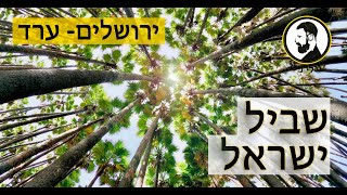 שביל ישראל -אזור ירושלים והכניסה למדבר