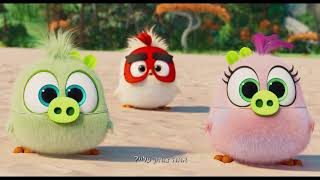אנגרי בירדס הסרט 2 טריילר מדובב | The Angry Birds Movie 2