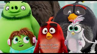 אנגרי בירדס הסרט 2 - טריילר מתורגם חדש | The Angry Birds Movie 2