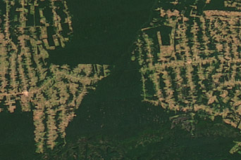 Amazon Deforestation:July 18, 2012