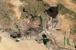 Mesopotamia Marshes:February 8, 2010