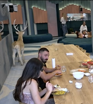 מאור נכנסת שוב לחדר האח הגדול