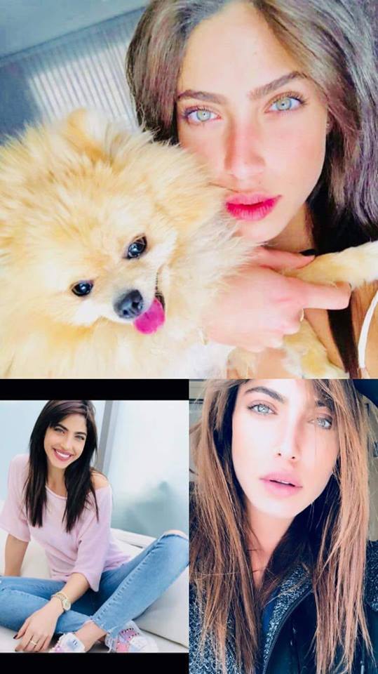 צהריים טובים