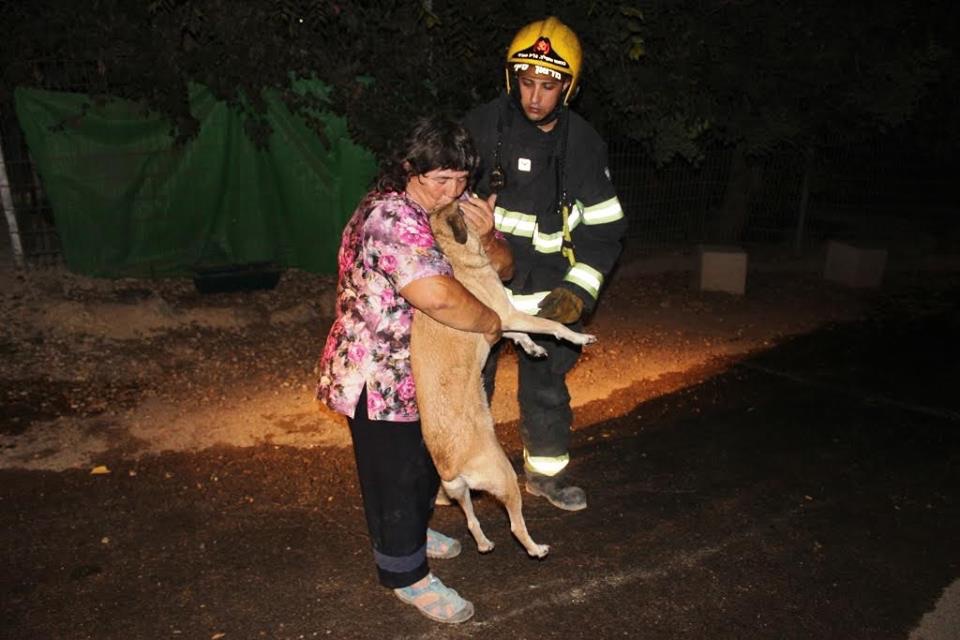 כלביית תנו לחיות לחיות בצפון בסכנין נשרפה