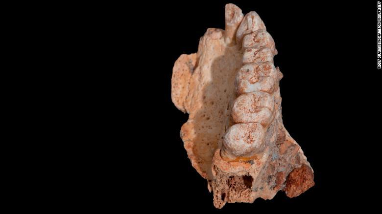 המאובן האנושי המודרני הוותיק ביותר הידוע מחוץ לאפריקה נמצא במערה בכרמל