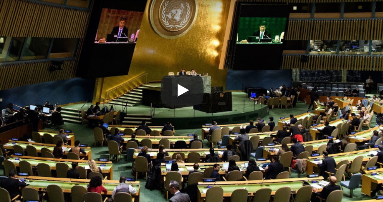 בשידור חי: הנאומים וההצבעה על ההכרה בירושלים בעצרת הכללית של האו''ם