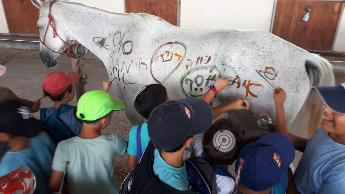 שיעור לחיים: ילדים ציירו על סוס בקייטנה